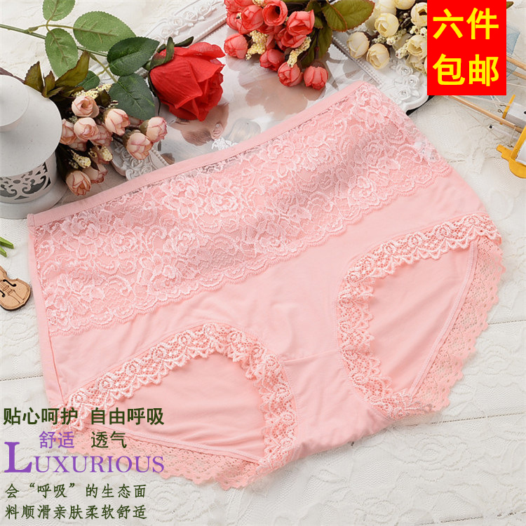 6条全国包邮莫代尔小天儿女内裤