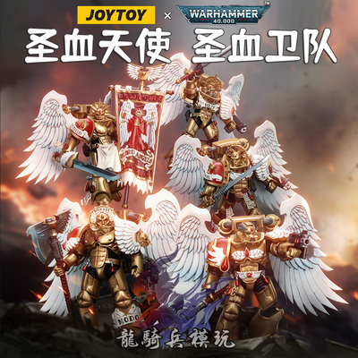 JOYTOY暗源战锤40K圣血卫队兵人