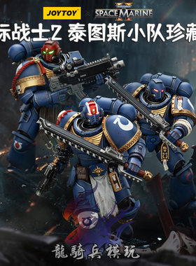 暗源战锤极限战士泰图斯小队兵人