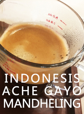 印尼曼特宁剥湿法处理Mandheling Ache 微批次苦韵香醇回甘佳227g