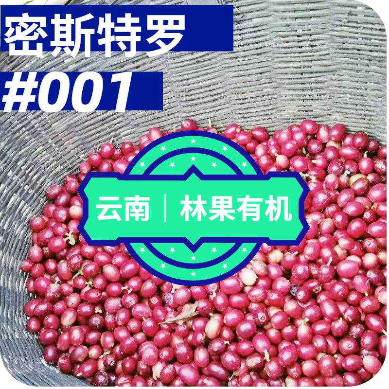云南有机水洗咖啡豆手冲黑咖啡