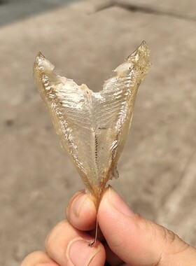 水晶鱼干去骨海南小银鱼干白丽子