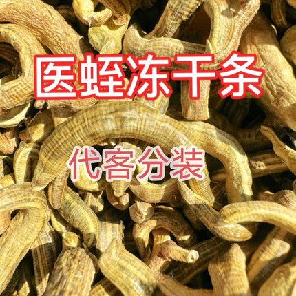 日本医蛭冻干条粉承接大货定制菲牛蛭