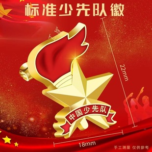 少先队队徽安全别针胸章中小学生少先队员入队礼品别针火炬强磁
