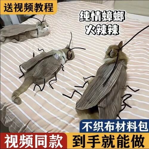 小猫猫咪手工网红猫猫条纹蟑螂服