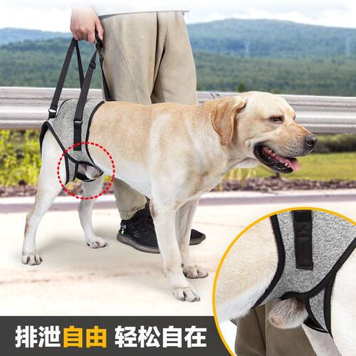 狗狗后腿辅助背带宠物受伤康复带