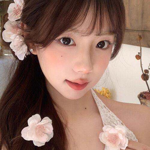 仙女发夹仿真头饰侧边夹小红书