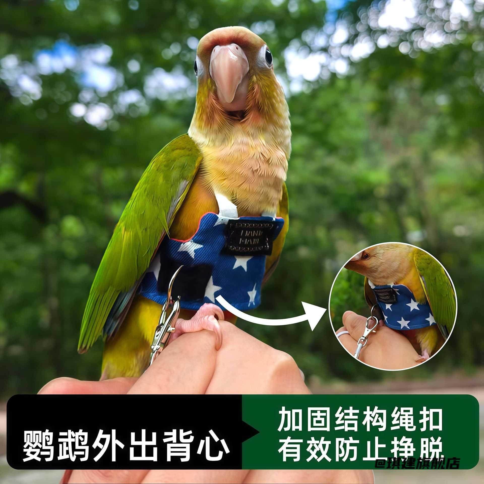 专用放飞绳户外神器玄凤鸟外出飞行服背带遛鸟衣服鹦鹉牵引绳放飞,居家布艺,绳子,淘宝优惠券,粉丝福利购,淘宝优惠卷
