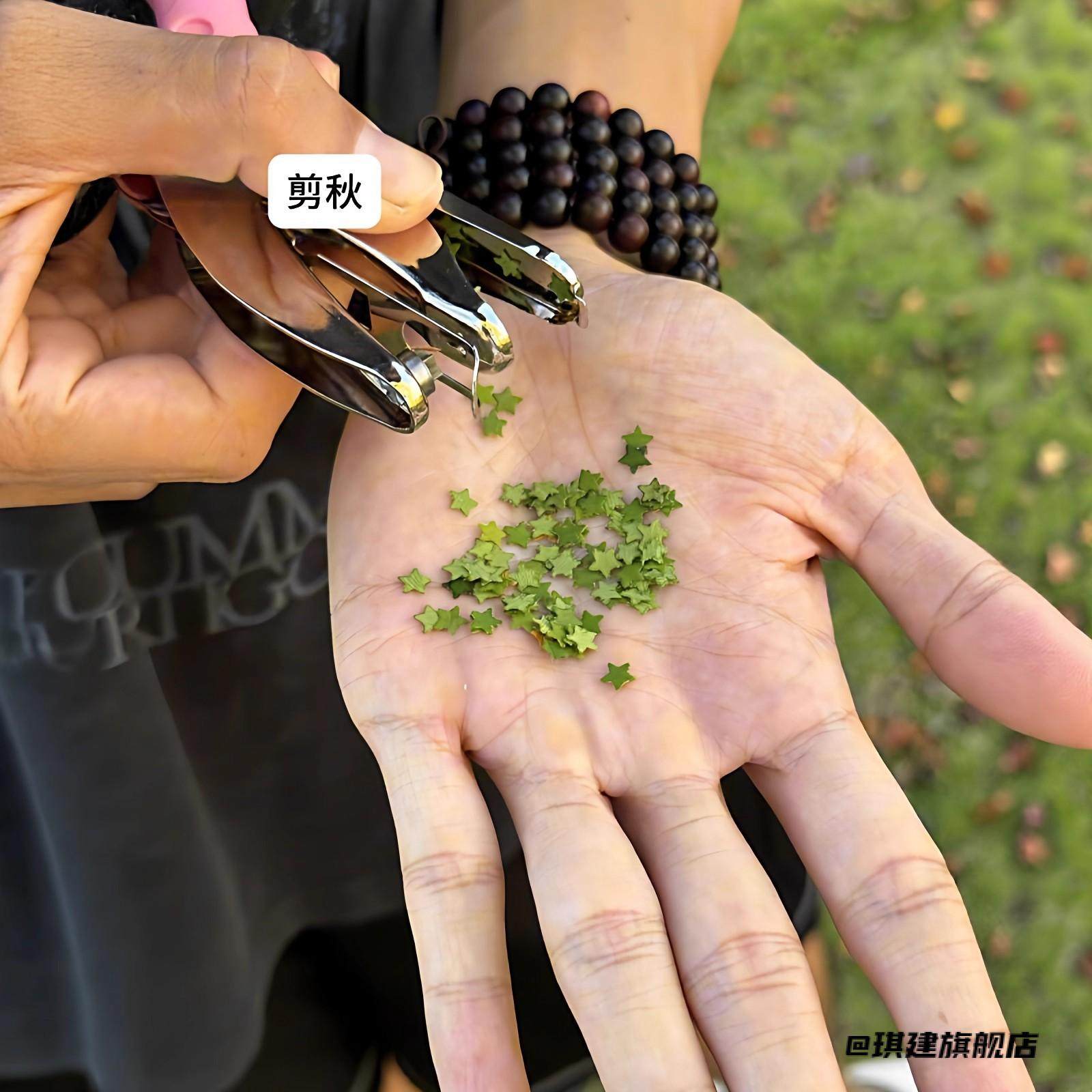 裁剪器树叶创意手握式压花器五角星不锈钢春游手工便携幼儿园秋游,居家布艺,珠子/钻饰/花朵等配饰,淘宝优惠券,粉丝福利购,淘宝优惠卷
