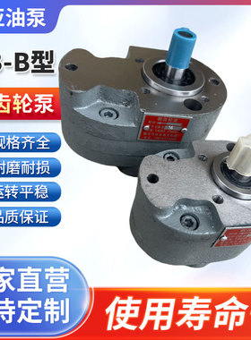 CB-B10/B4/B6F/B2.5/B16/B20/B25/B32/B50/B63/B100/B125钢齿轮泵