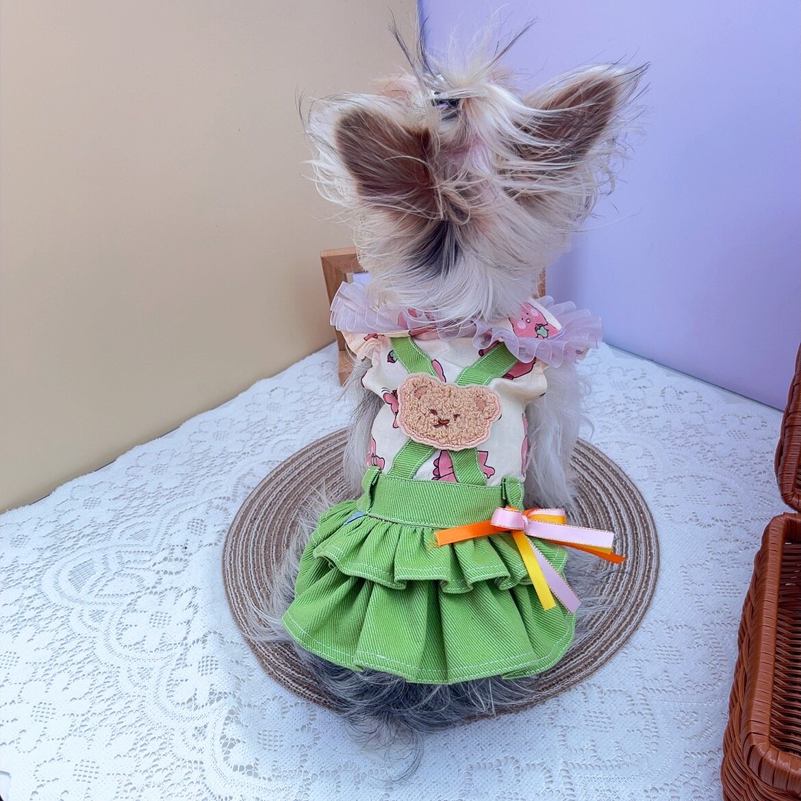 宠物狗狗衣服春秋款可牵引牛仔裙