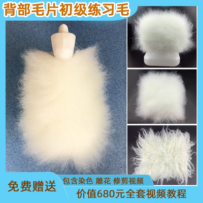宠物假毛美容师练习支架模型仿真