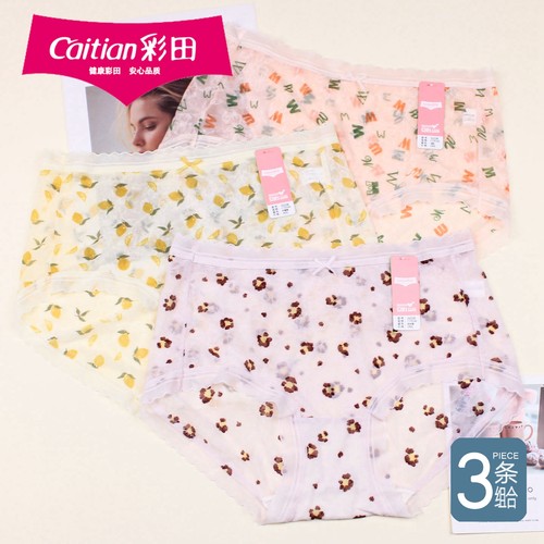 女中腰蕾丝网纱超薄透气速干短裤