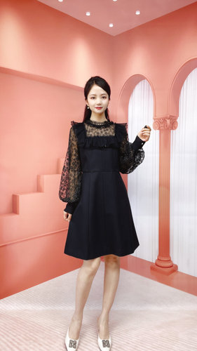 断码清仓 兰蔻系列 时尚春秋款 纱袖气质减龄连衣裙Y609