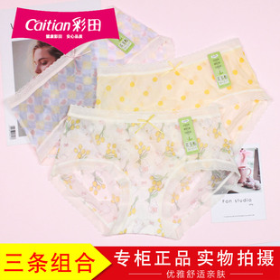 3条装彩田女轻薄透无痕内裤32638超细网纱丝袜透气内裤32639