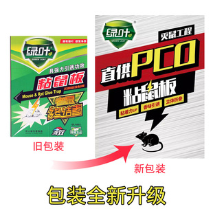绿叶粘鼠板老鼠贴含引诱剂胜过灭鼠器捕鼠器老鼠笼 粘鼠