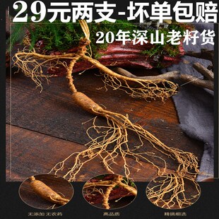 一等参29元 2支新鲜东北长白山林下野山参林下神吉林新鲜野人参