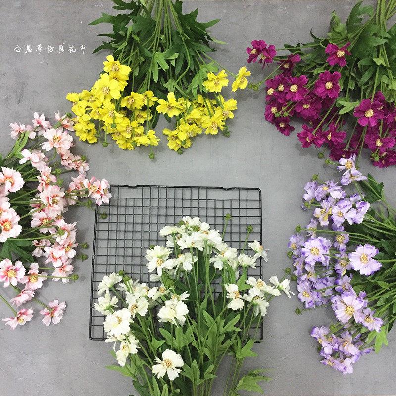 小雏菊高仿真波斯菊婚礼图片