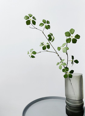 高仿森系观音莲枯枝杏花藤枝条室内装饰植物商场餐厅摆放绿植花卉