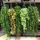 饰垂挂藤条软装 仿真绿植藤条金鱼草壁挂塑料藤蔓时尚 餐厅装 造景