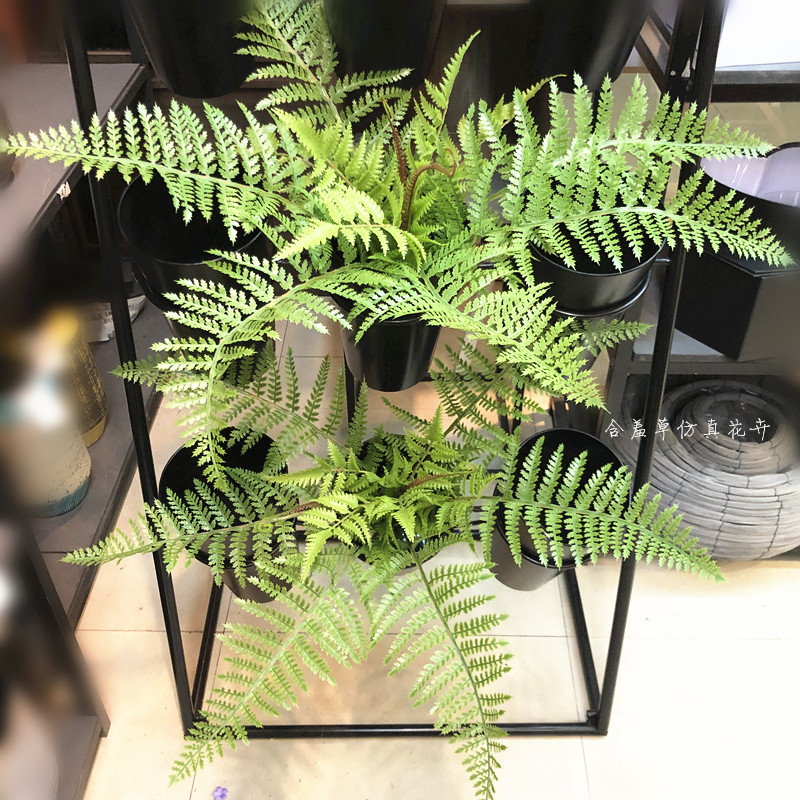 高仿蕨草大把束绿植墙装饰造景