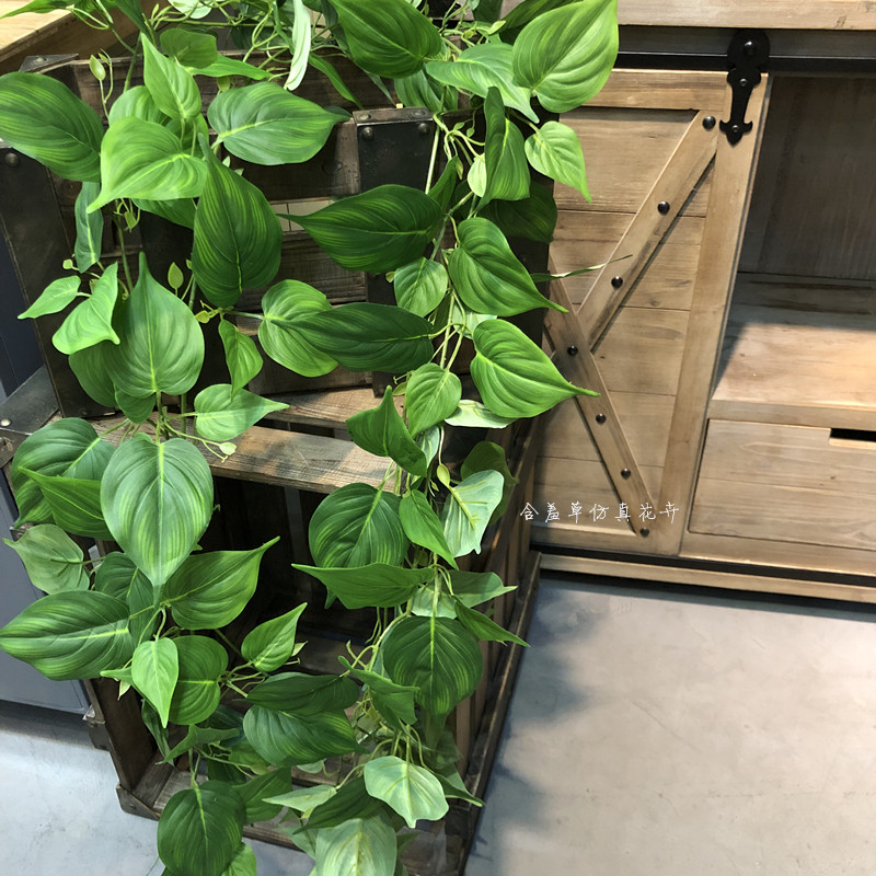 仿真绿植绿萝藤条假植物藤绢布两米绿萝藤蔓管道屋顶缠绕装饰挂藤