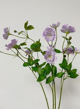 清新田园小花手捧花设计花材生动