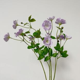 仿真花自然系蝴蝶兰露莲花餐厅装饰花束捧花设计森系场景布置花材