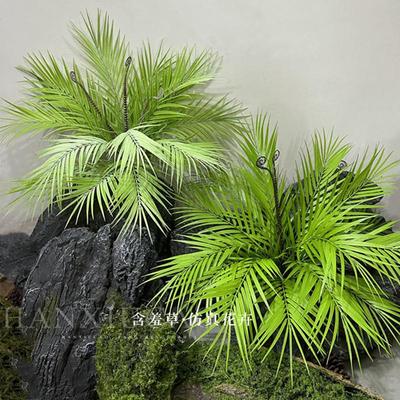 塑料散尾葵叶园林景观装饰植物