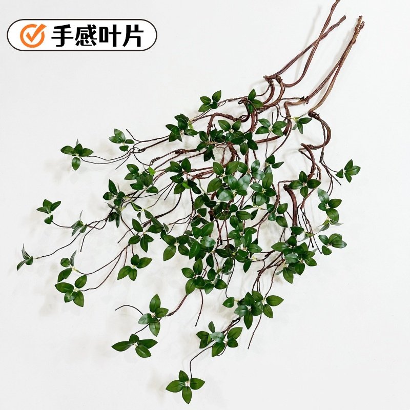 新款高仿真植物榕树枝冬青叶手感弯曲枯枝园林景观造景装饰绿植,鲜花速递/花卉仿真/绿植园艺,仿真绿植,淘宝优惠券,粉丝福利购,淘宝优惠卷