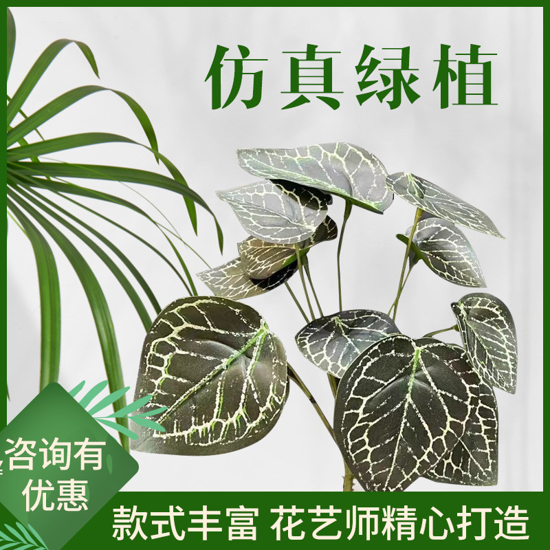 新款植物仿真竹芋叶迷你小天使绿色墙面造景装饰叶材餐厅摆放绿植,鲜花速递/花卉仿真/绿植园艺,仿真绿植,淘宝优惠券,粉丝福利购,淘宝优惠卷