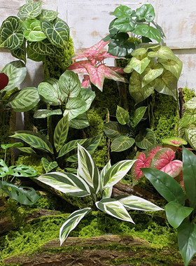 高仿真手感植物竹芋叶龟背酒店餐厅摆放叶子景观绿植墙造景装饰