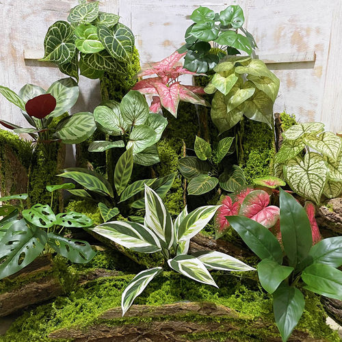 餐厅装饰景观造景绿龟背仙洞手感