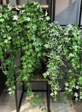 大把常春藤室内外垂吊壁挂植物墙