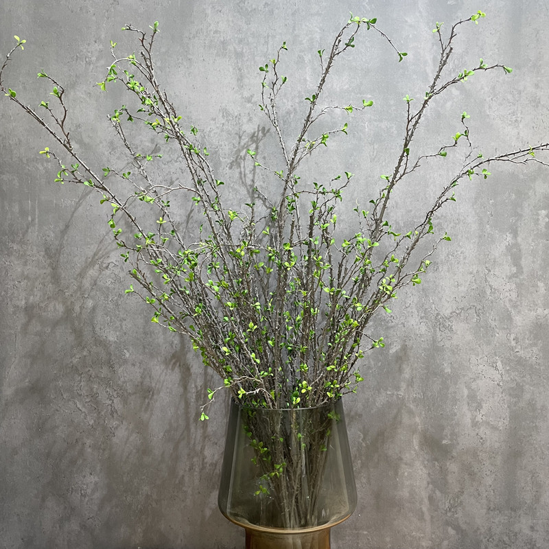 仿真植物荆刺枝带嫩叶绿植刺芽树枝花艺装饰绿色造景搭配树条