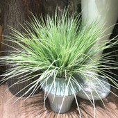 仿真塑料草景观装 饰水草绿植洋葱草植物墙软装 造景草花槽配草