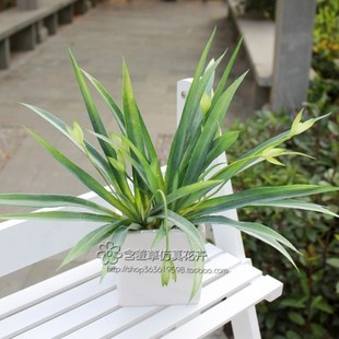 绢花 吊篮客厅装 假花 仿真吊兰花塑料花吊兰 饰花餐厅装 饰植物