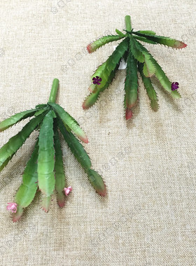 【新品】仿真沙漠植毛客厅假花