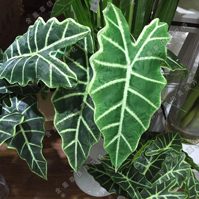 仿真斑纹叶观音连叶把束特大仿真绿植绢布工程装饰植物摆放