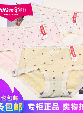 三条包邮彩田莫代尔棉中腰短裤15802女士舒适轻薄蕾丝边内裤15803