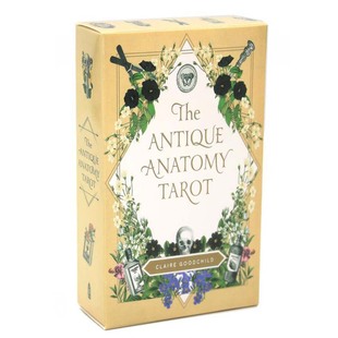 Tarot Card Antique Game 古典解剖塔罗牌 Anatomy The