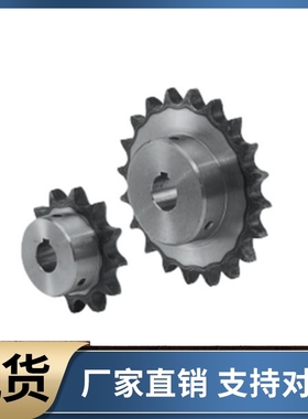 链轮SP40B9 10 11 12 13 14 15 16 17 18 19 20 21 22 23 24-N18