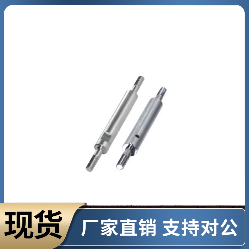 导向轴SER SES01 02 31 32-D6 D8 D10 D12 D13 D15 D16-L50 L80