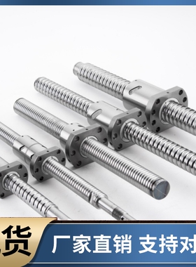 滚珠丝杠BSSC BSSCK2005 2010 2505 3205 3210 3232-100 200 500