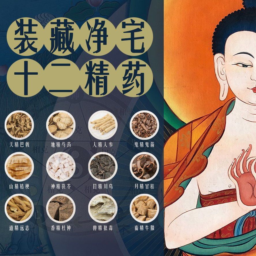 七香十二精药12精药七香药七宝香十二药精七种香净宅装藏用品全套