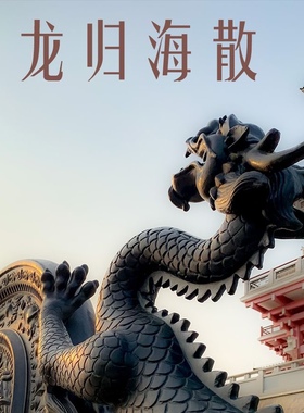 摆件天然工艺品植物配件