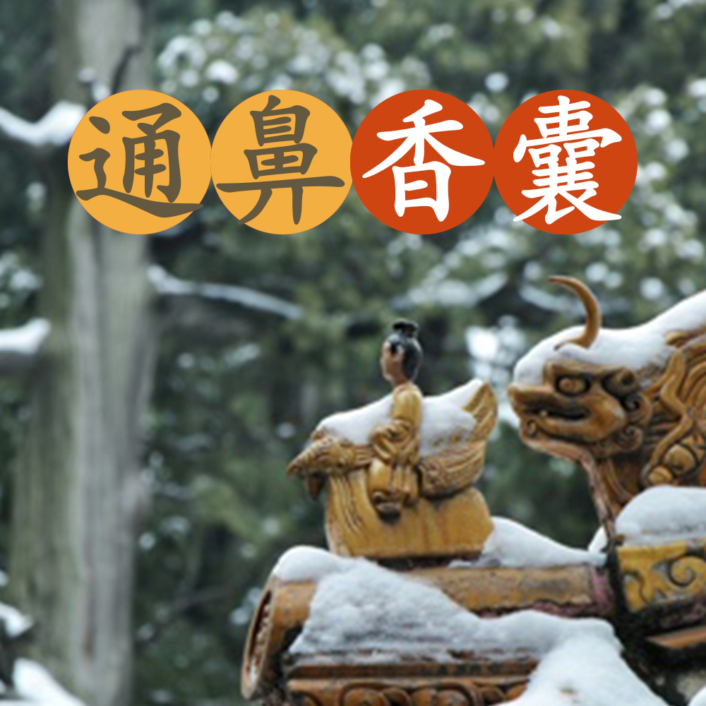 通鼻香囊(摆放款)鼻炎香包袋鼻塞通窍干痒流鼻涕随身香薰礼盒装