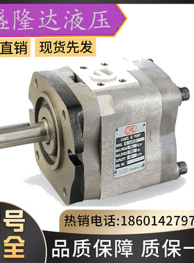 叶片WH43-G02-C5-D24-N/WE43-G03-C3-C60-C4-C2-C9-A110-A220-A24