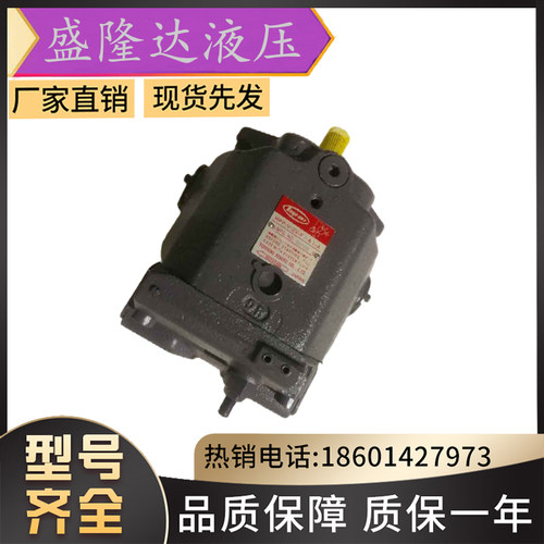 TOYOOKI日本现货供应丰兴注塑机柱塞油泵HPP-VC2V-L14A3-A油泵