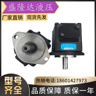 DENISON丹尼逊油泵T6CCM-B31-B08-1L00-D1;T6ECM-072-B10-3R00-C1